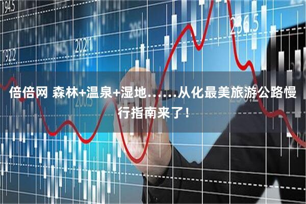 倍倍网 森林+温泉+湿地……从化最美旅游公路慢行指南来了！